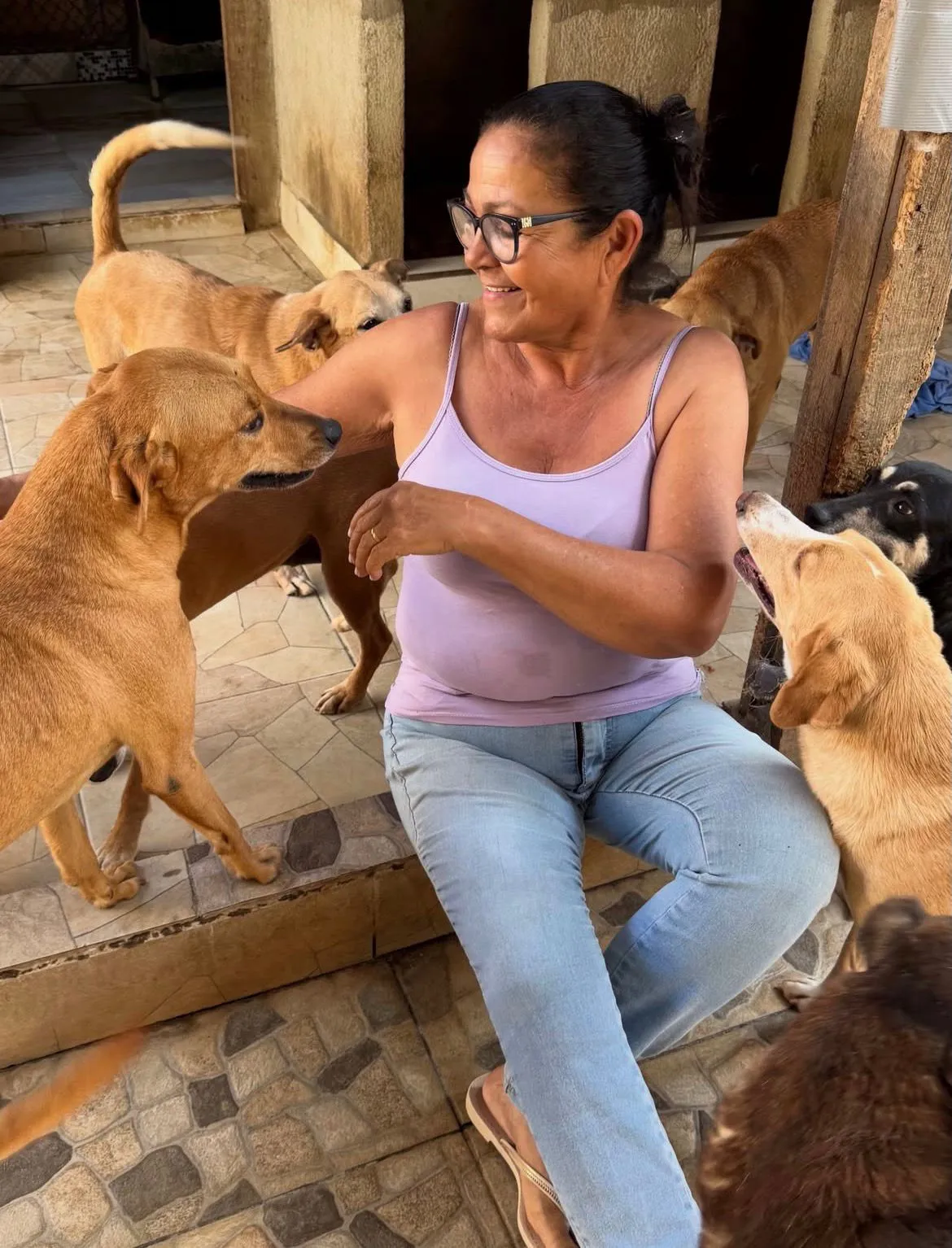 Cachorra abraçada pela voluntária